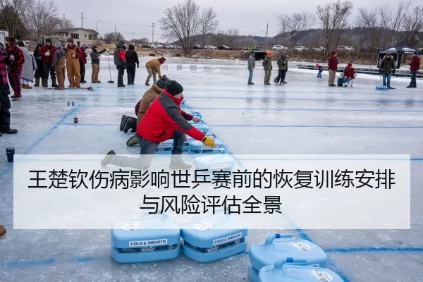 王楚钦伤病影响世乒赛前的恢复训练安排与风险评估全景